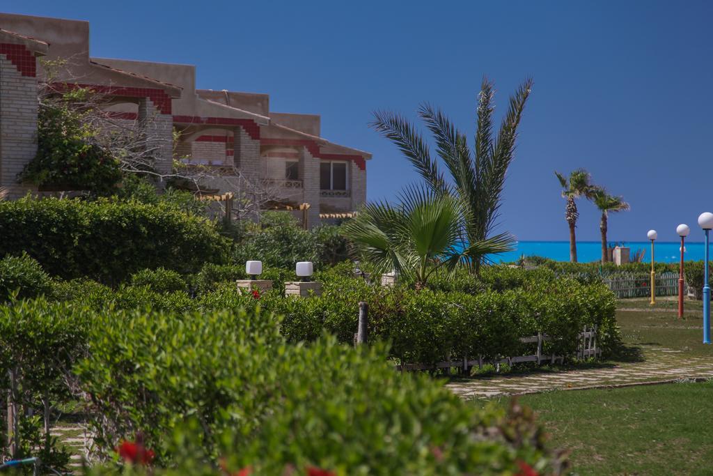 Villas Petro Beach Эль-Аламейн Экстерьер фото